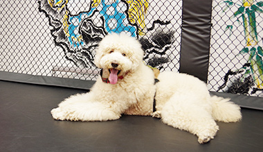 ジムご利用のお客様