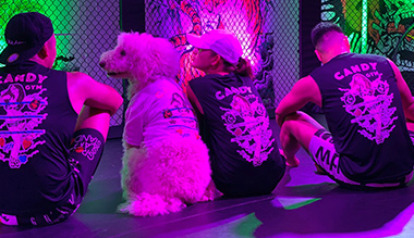 ジムご利用のお客様